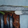 Stations of the cross. Oil on canvas. 2007.