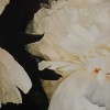 Slowly fading forms 1. 2008. Oil on canvas.913x605. Sold