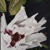 Oil on canvas. 2003. Paper Rose. 2004.