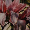 Up high. 61 x 30 cm.2005. Oil on canvas. NFS