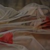 Untitled. 91 x 60 cm. 2006. Oil on canvas. Sold