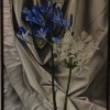 Not different, not the same. 2007 91 x 60 cm. Oil on canvas. Sold
