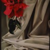 Sub Rosa. 91 x 60 cm. 2007 Oil on canvas.